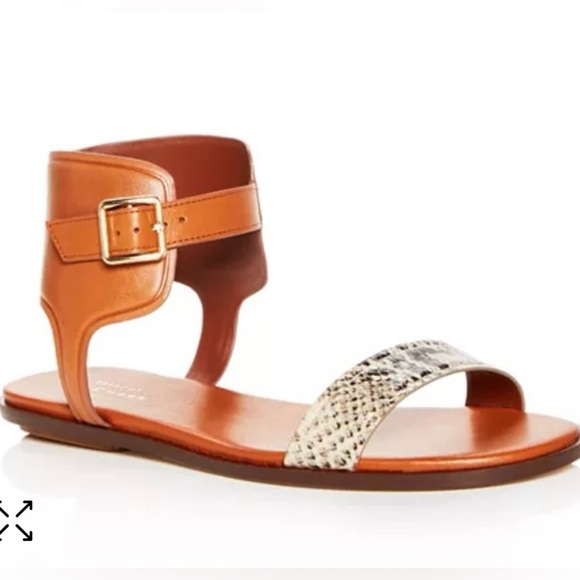 Cole Haan Women’s Barra Sandal Flat Shoes 6.5 Ankle Buckle Snake Print Animal - Picture 1 of 8